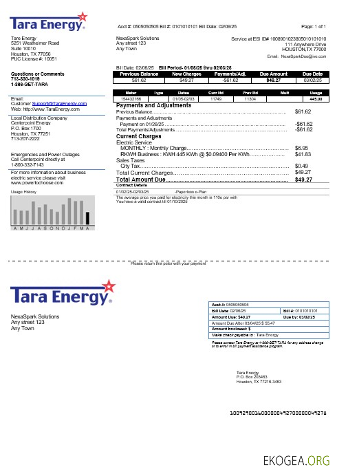 Modèle de facture de services publics d'entreprise USA Texas Tara Energy aux formats Word et PDF